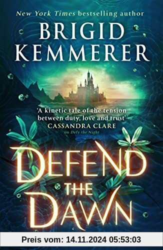 Defend the Dawn: Brigid Kemmerer (Defy the Night)