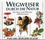 Wegweiser durch die Natur. Die Tiere und Pflanzen Mitteleuropas