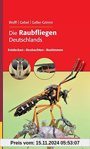 Die Raubfliegen Deutschlands: Entdecken – Beobachten – Bestimmen (Quelle & Meyer Bestimmungsbücher)