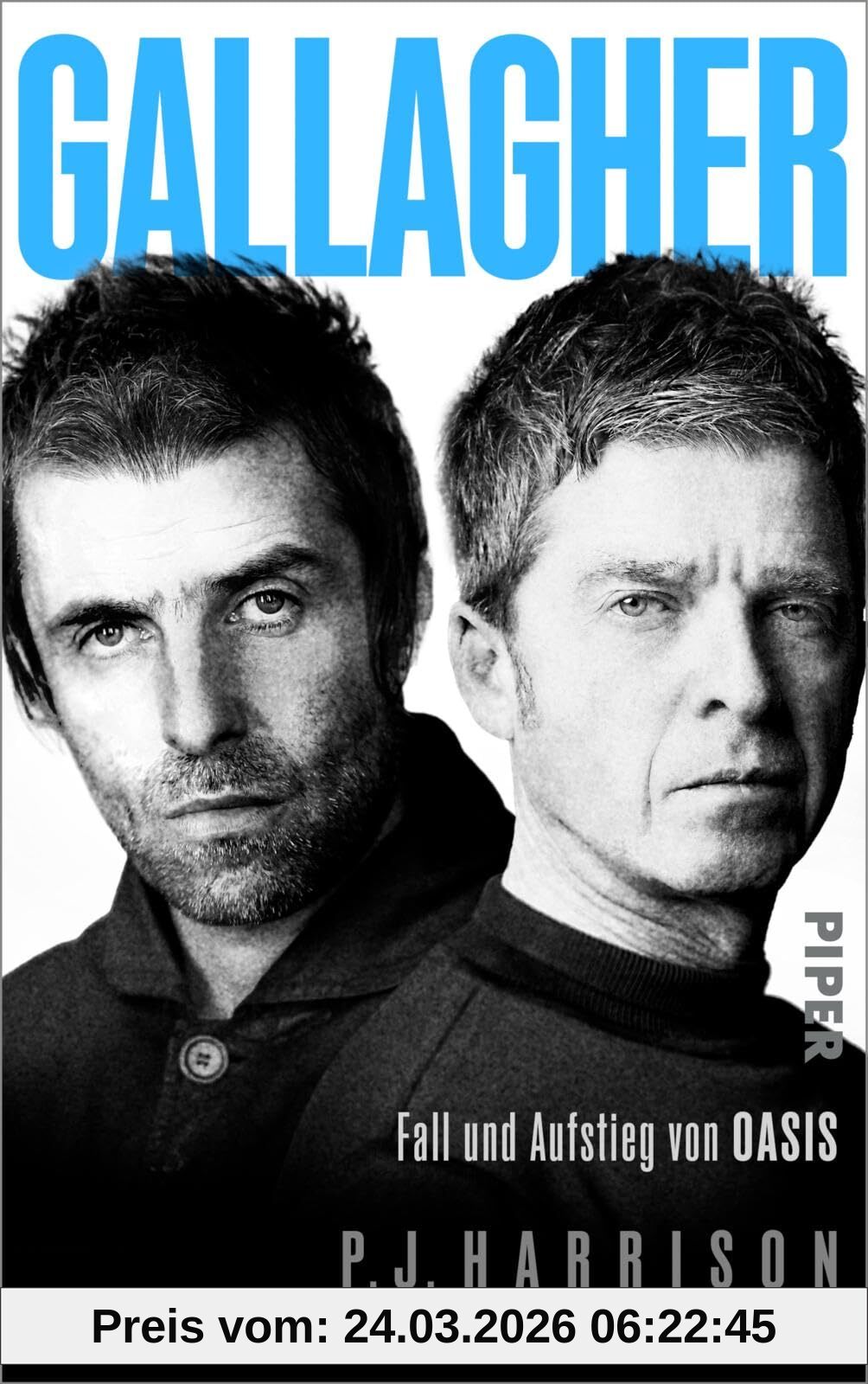 Gallagher: Fall und Aufstieg von Oasis | Die erste deutsche Oasis-Biografie