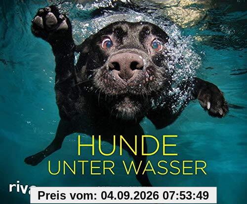 Hunde unter Wasser