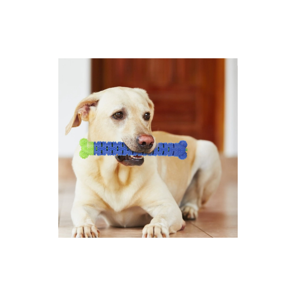 NITAIUN 2 Piezas de Juguetes para Masticar Perros Cepillo de Dientes de Perro Goma Natural Duradera para el Cuidado Dental del Perro Limpieza de Dientes Evitar el Aburrimiento de Perros 2 Piezas 