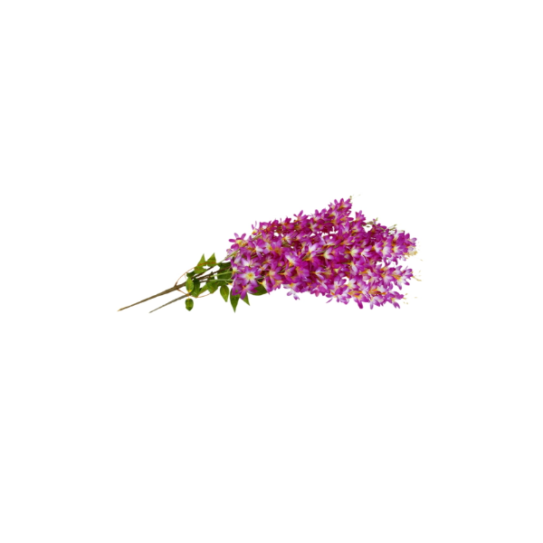 Flores Artificiales Lilas Mejor Precio Febrero 2023|BigGo México