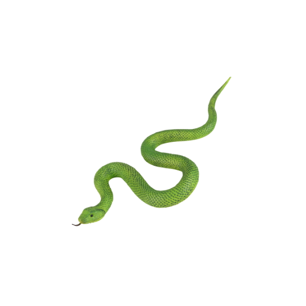 Doyomtoy Serpientes de Goma Realista Juguete de Serpiente Accesorios De Broma para Jardines Decoraciones de Miedo 6 Piezas, 6 Estilo Serpiente Mamba Negra Serpientes de Goma Realista Elasticas 