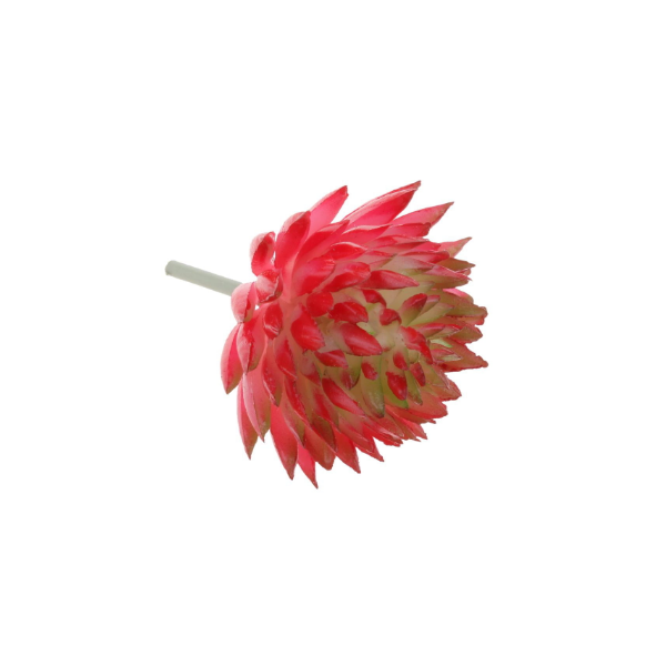 Adorno Hogar Artificial Echeveria Flor De Follaje Para Oficina Rosa Sunnimix Planta Artificial
