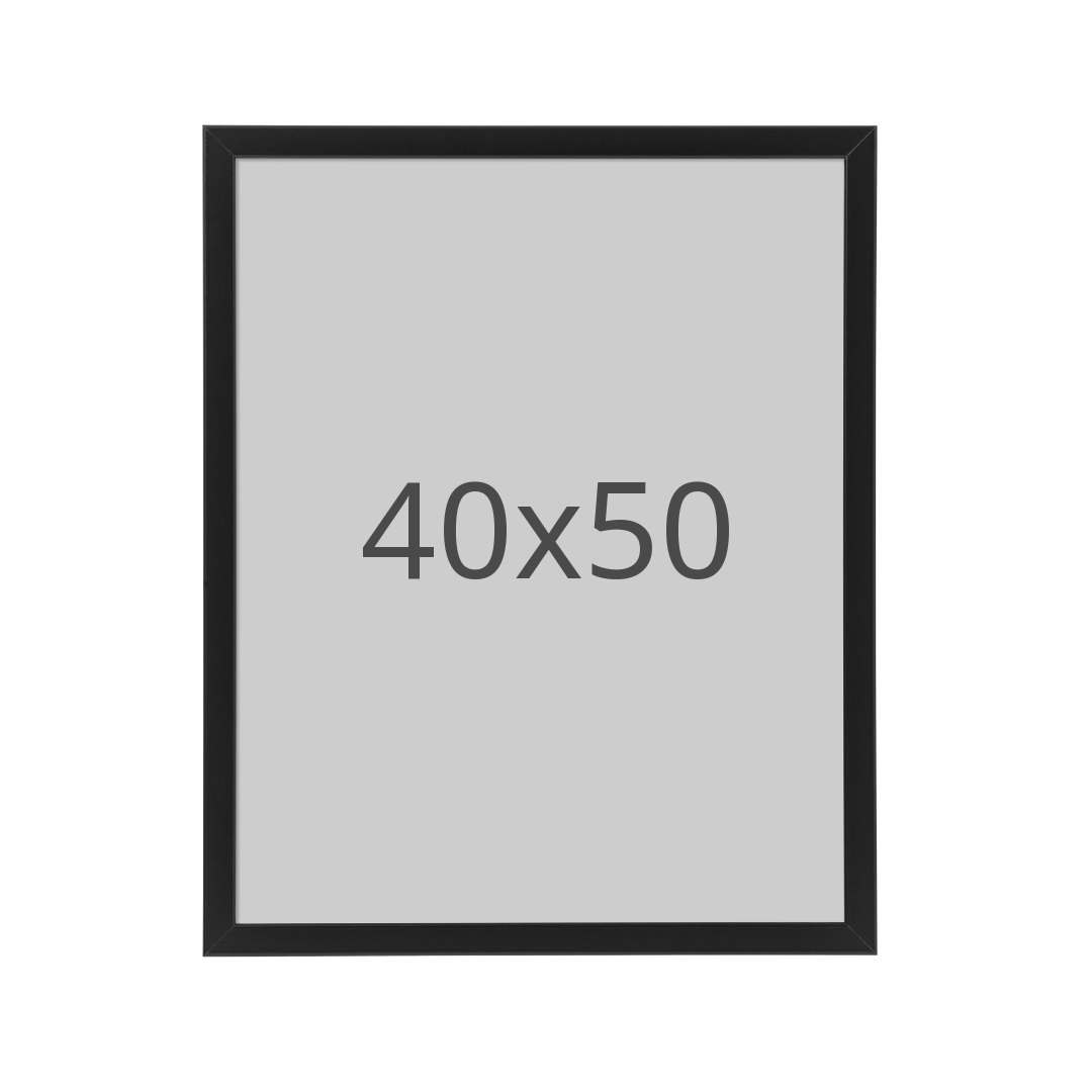 IKEA FISKBO ram, svart, 40x50 cm