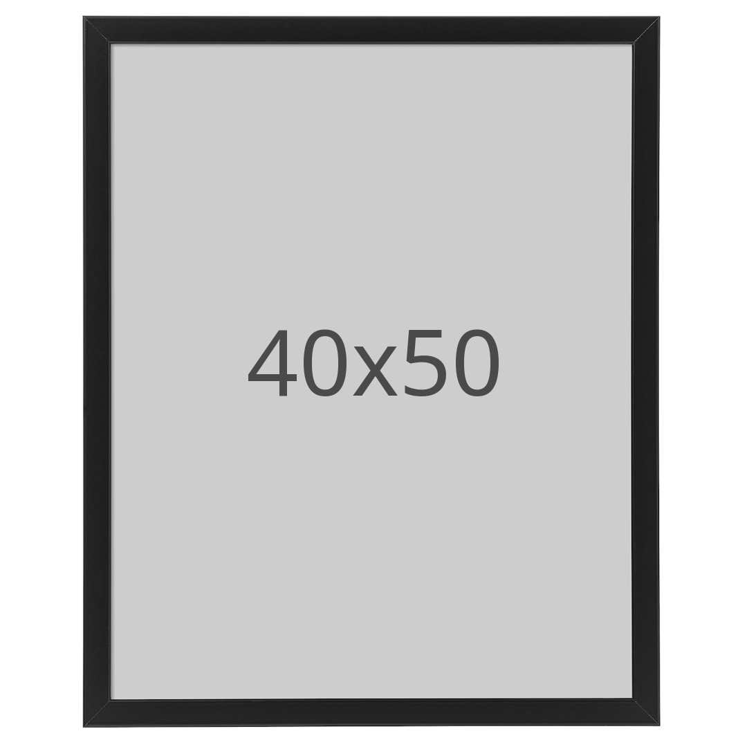 IKEA FISKBO ram, svart, 40x50 cm