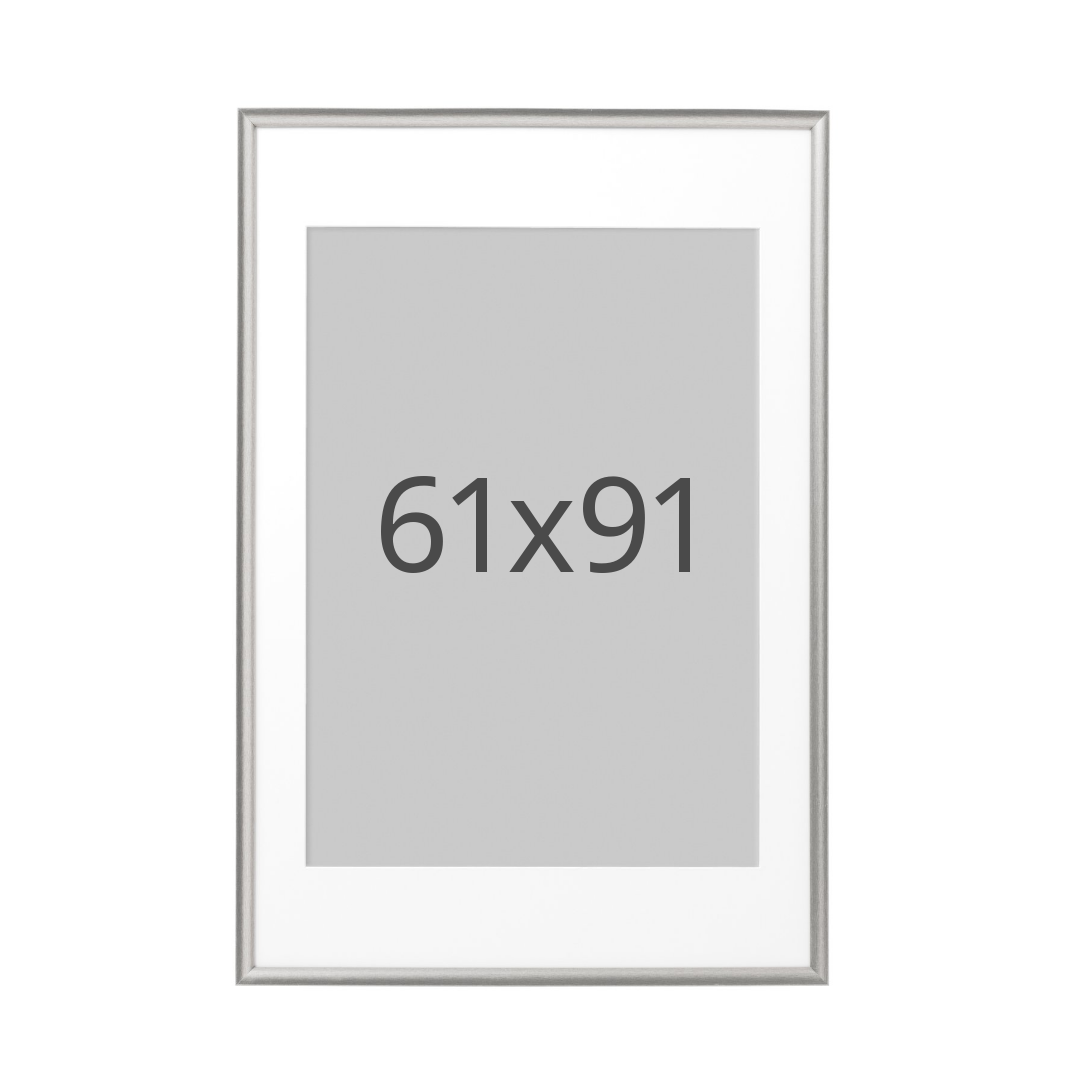 IKEA SILVERHÖJDEN ram, silverfärgad, 61x91 cm