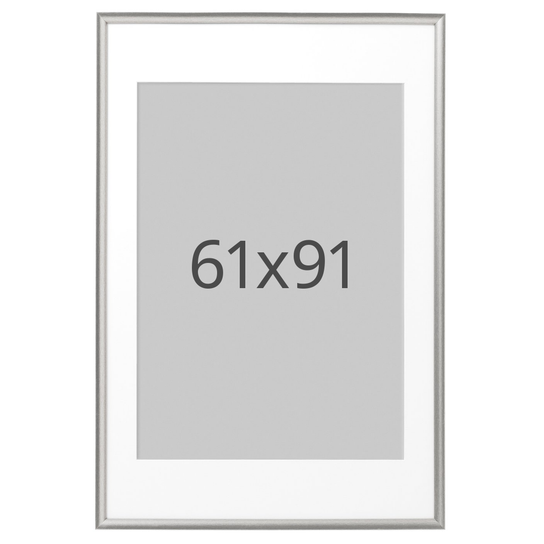 IKEA SILVERHÖJDEN ram, silverfärgad, 61x91 cm