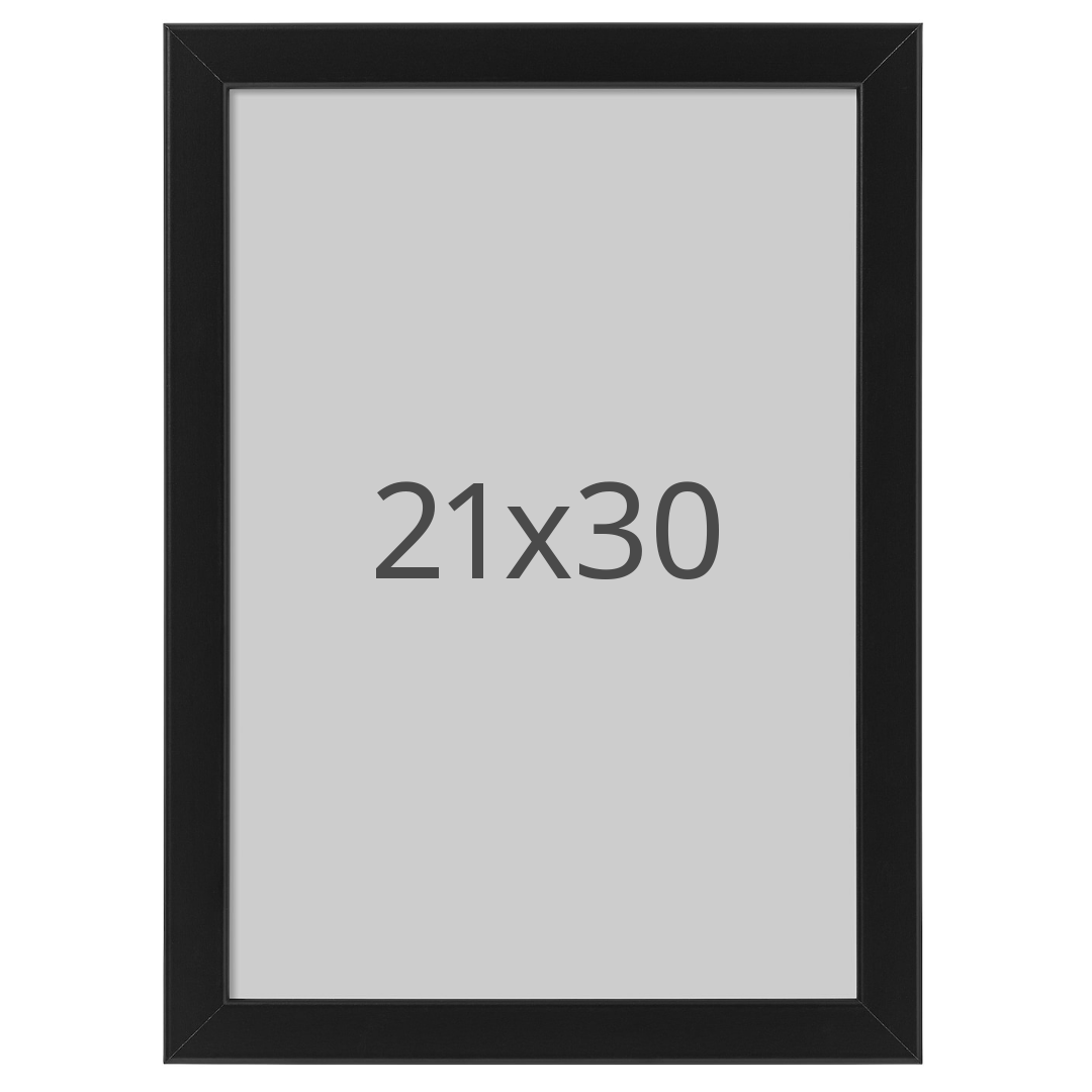 IKEA FISKBO ram, svart, 21x30 cm