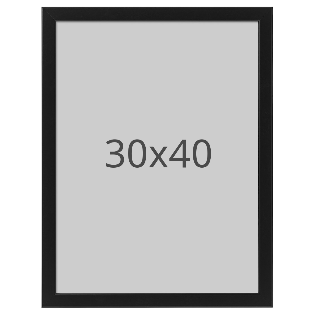 IKEA FISKBO ram, svart, 30x40 cm