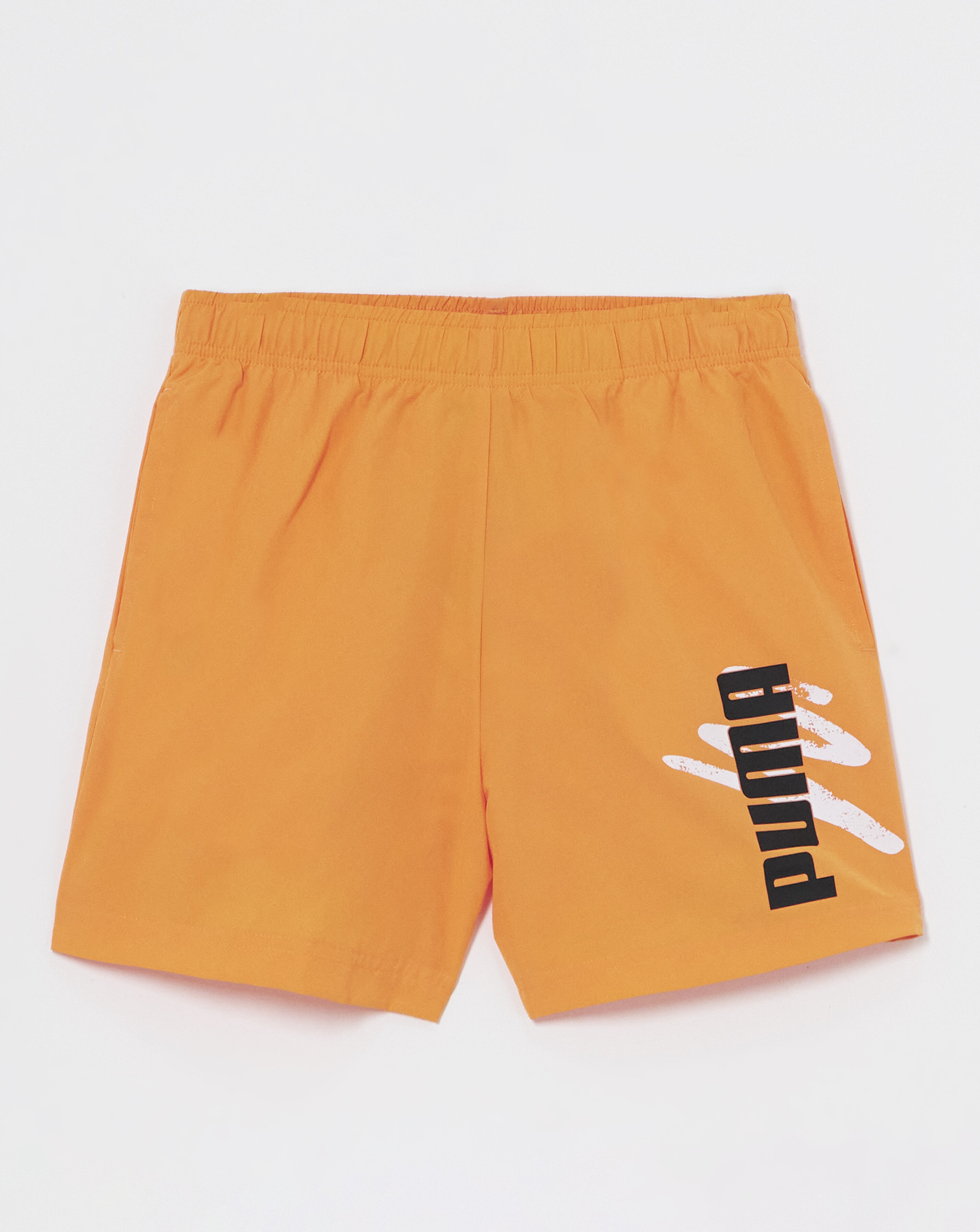 PUMA Essentials Logo Lab Woven 5 Shorts"