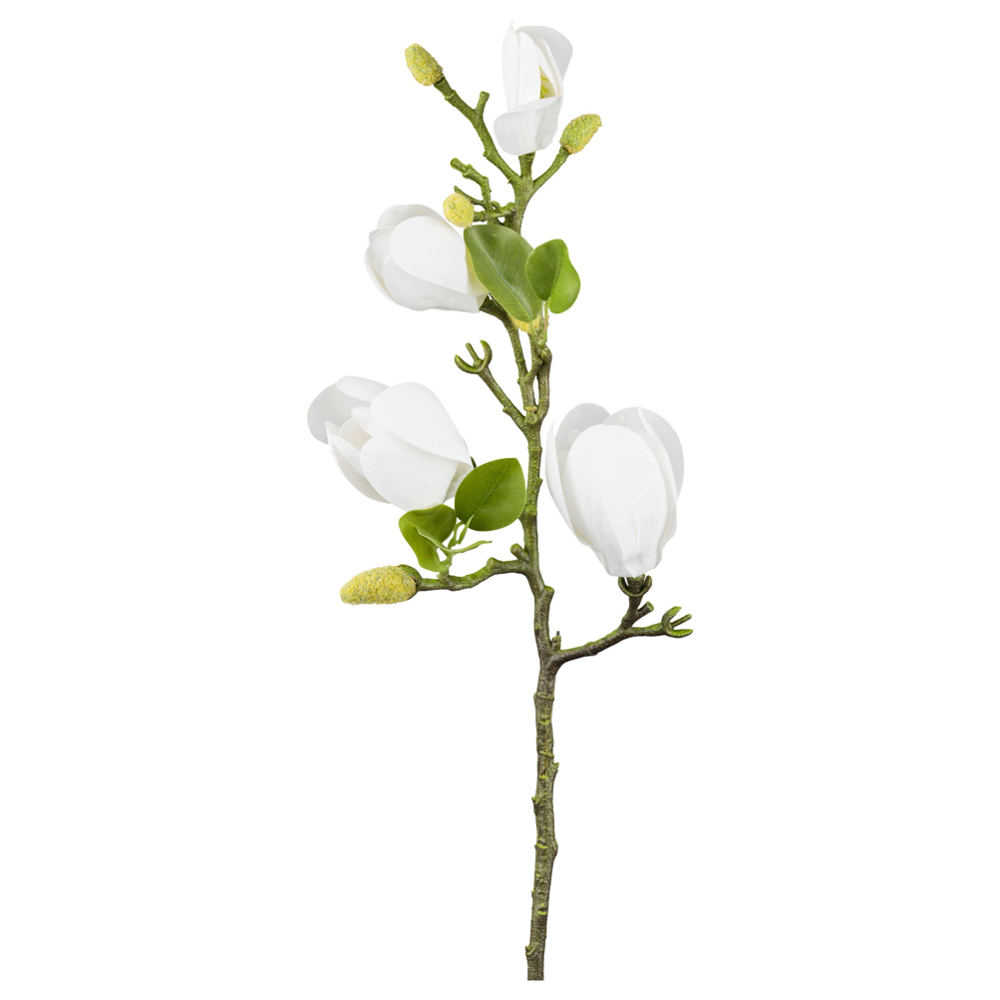 Dekorační větvička MAGNOLIE, V: 67 cm