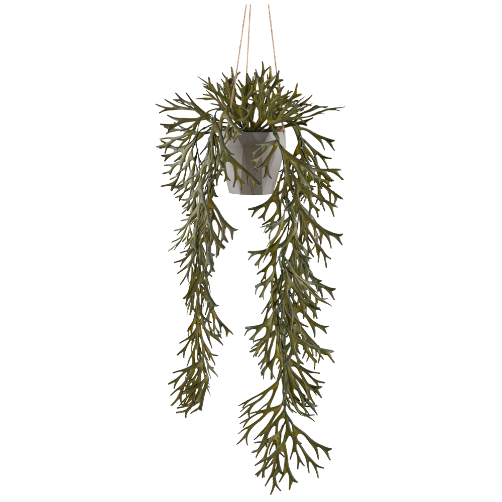 Umělá rostlina PLATYCERIUM, Výška 70cm