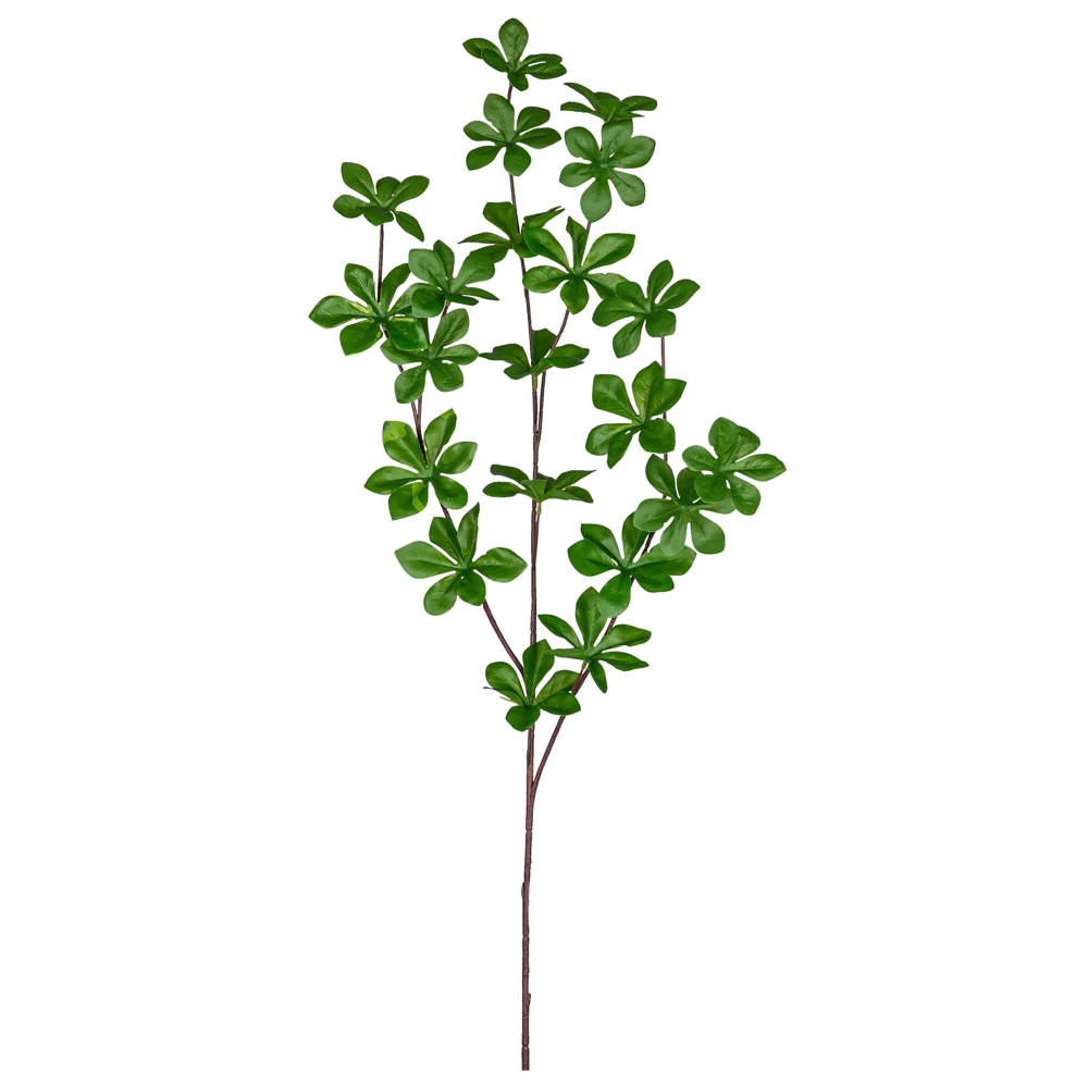 Dekorační větvička LOUISIANAZWEIG, V: 71cm