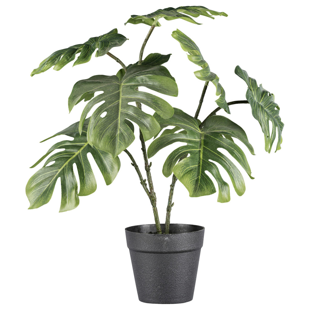 Umělá rostlina Filodendron, V: 41cm