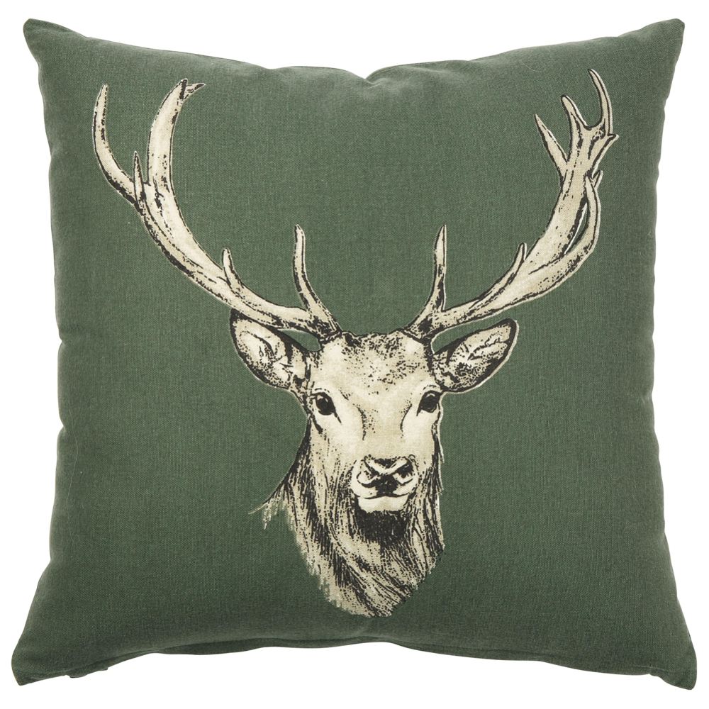 Dekorační Polštář Witti, 45x45cm, Zelená