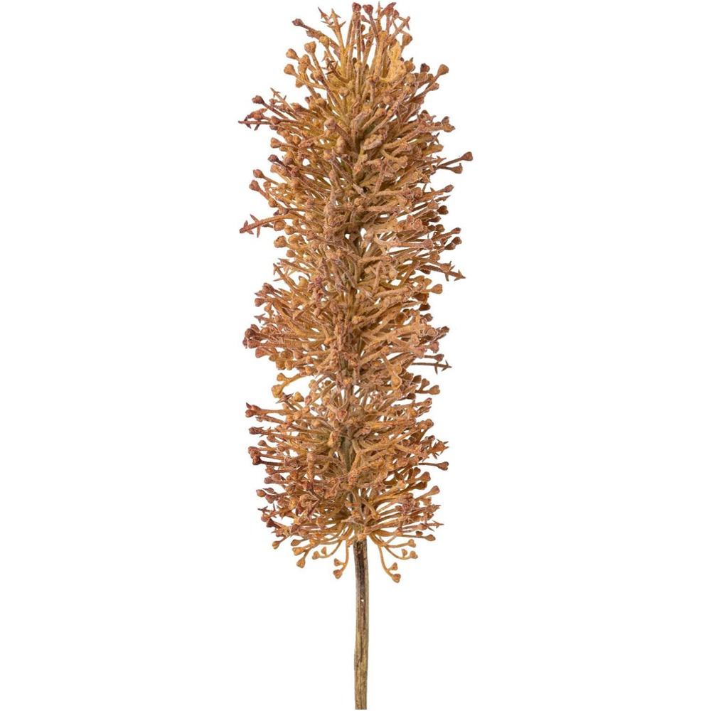 Umělá rostlina Eremus, V: 63cm