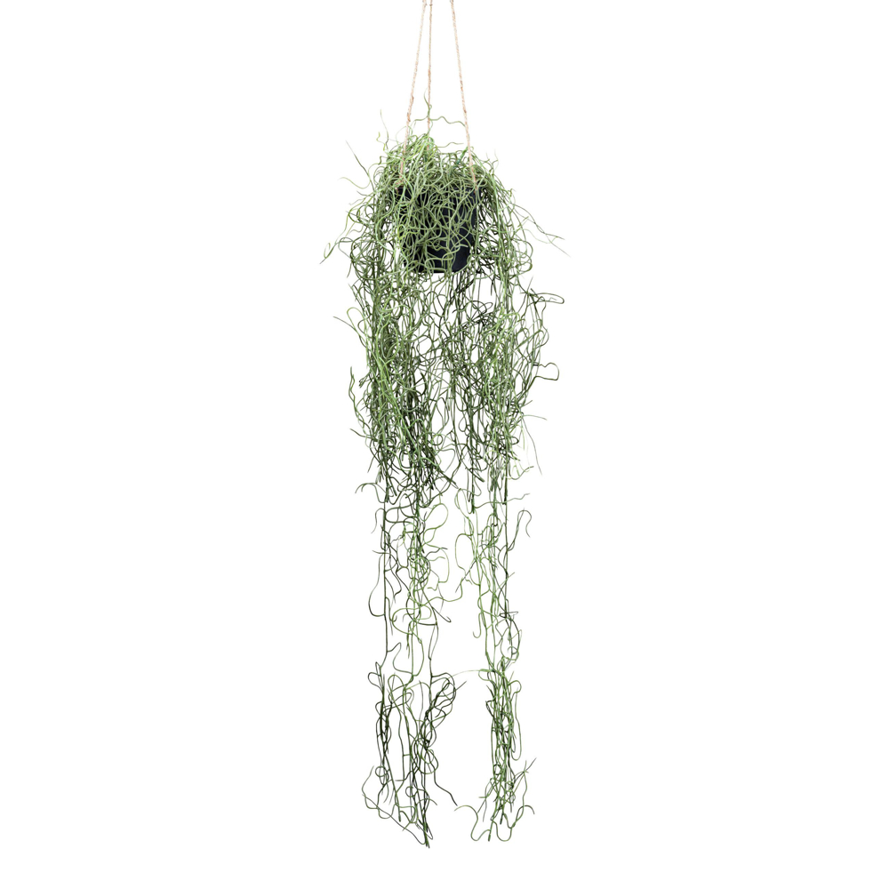 Umělá rostlina Tilandsie, 80cm