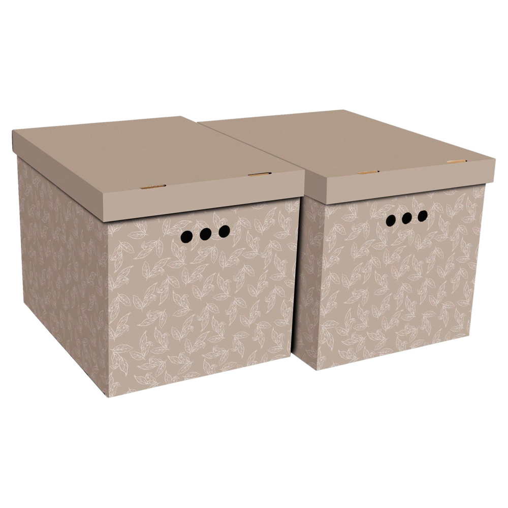 Box S Víkem Jimmy, 2 Ks/bal.