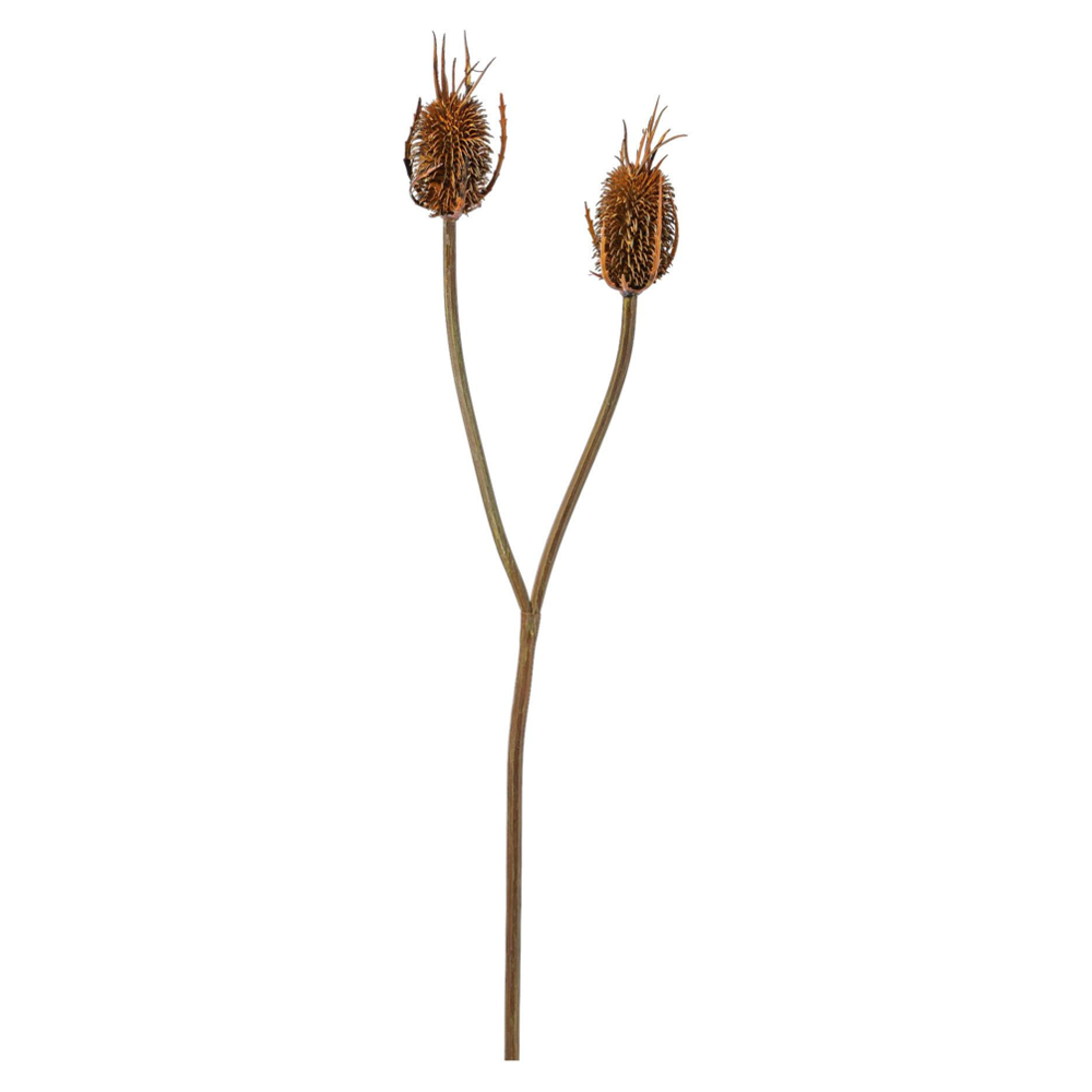 Dekorační větvička Bodlák, 80cm