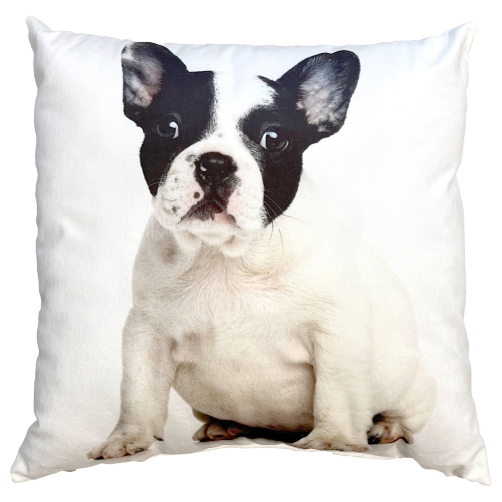 Dekorační Polštář French Buldog, 40/40cm