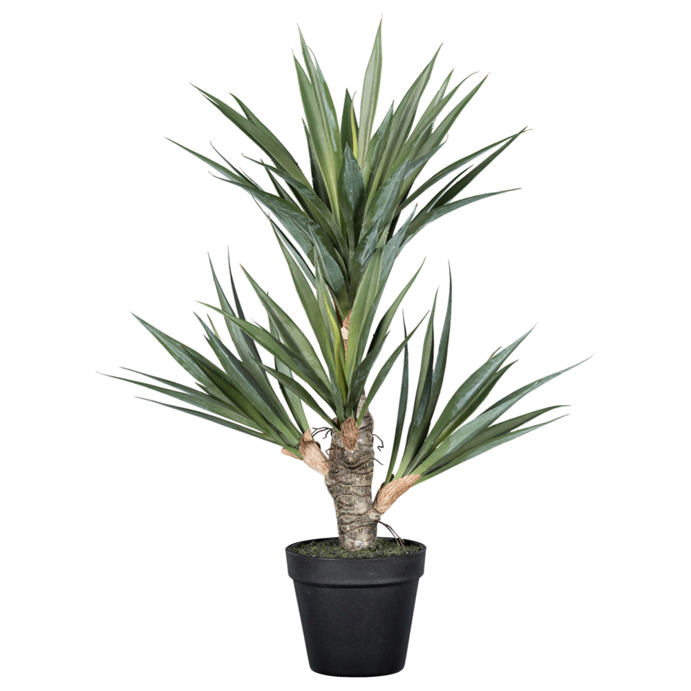 Umělá rostlina Agáve, V: 55cm