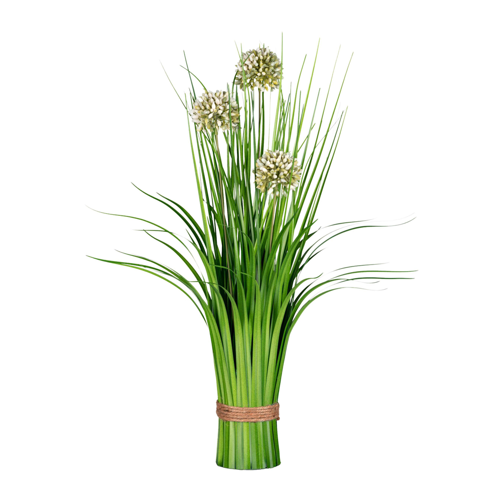 Svazek trávy Alium, V: 48cm