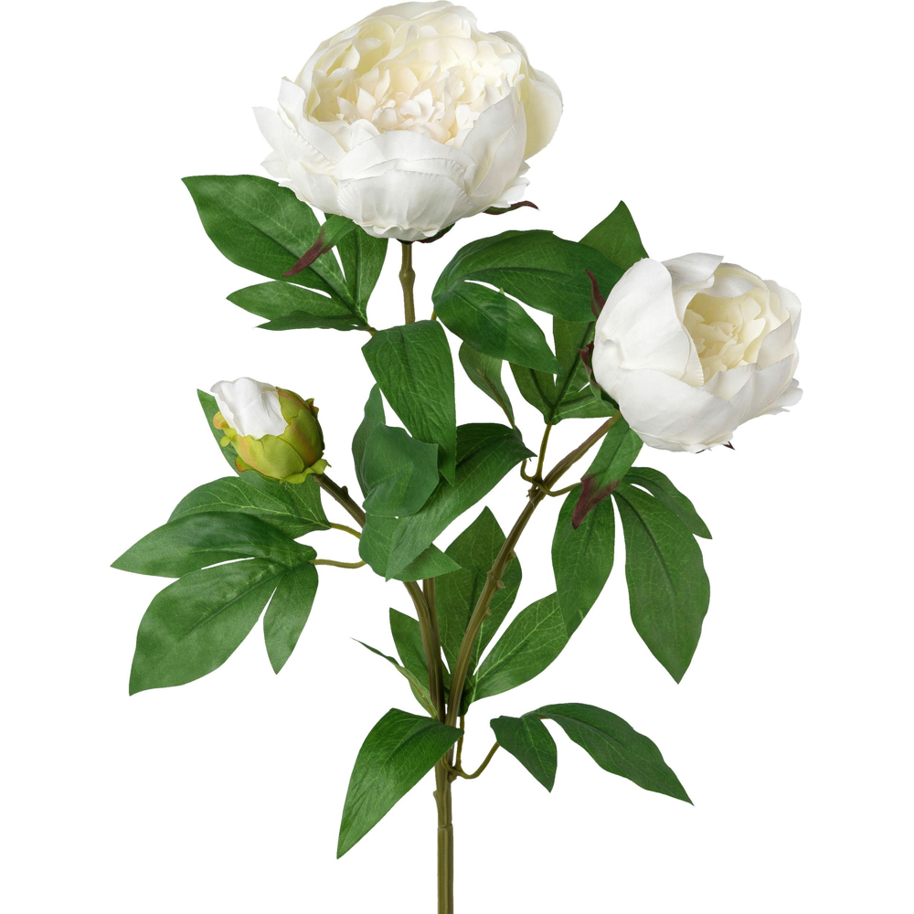 Umělá rostlina Pivoňka, V: 70cm