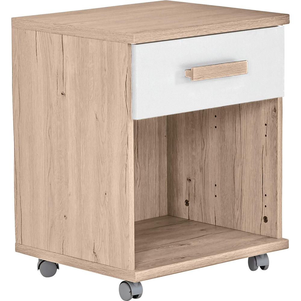 Kontejner na kolečkách CARIBA 4 kolečka