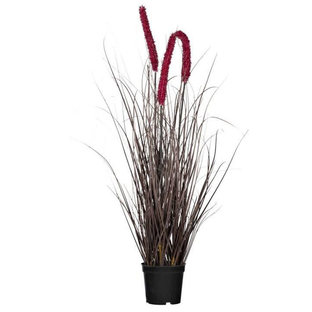 Umělá rostlina Pennisetum, V: 73cm