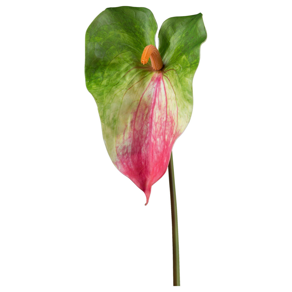 Kunstpflanze Anthurie I In Grün/rosa