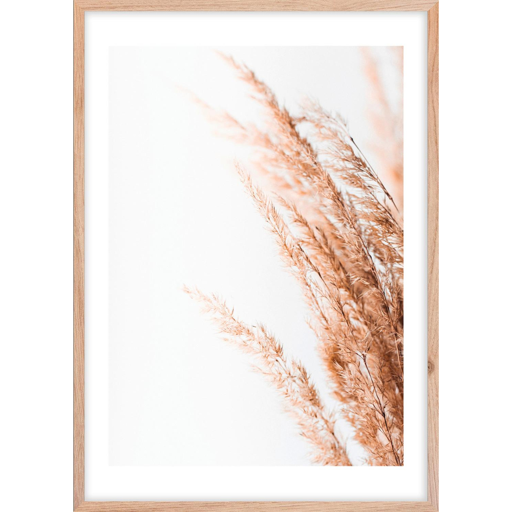 Obraz Image, ca. 50/70cm
