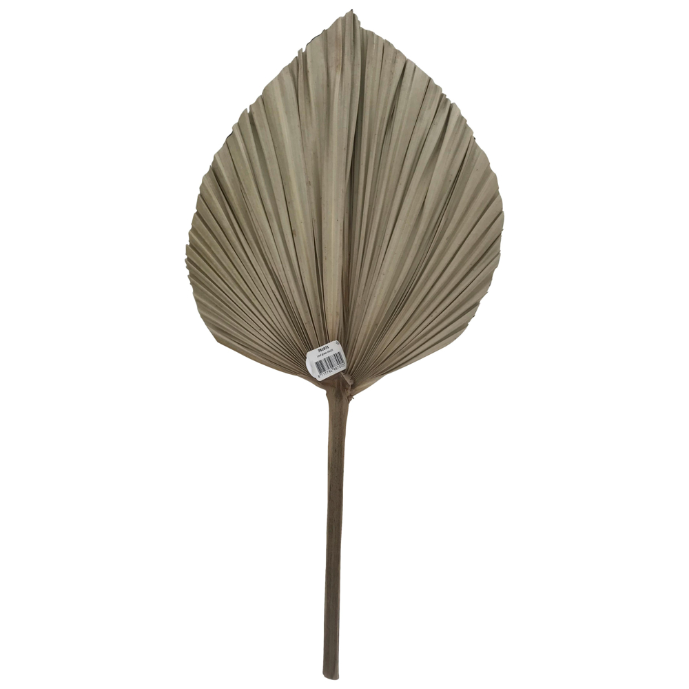 DEKORAČNÍ LIST LEAF -PAZ-