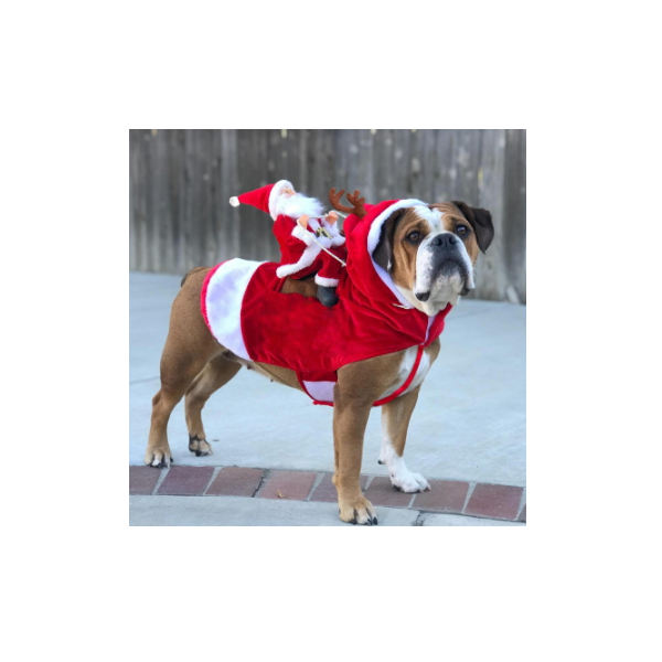 Nobleza Navidad Ropa para Perros Disfraz Gato de Navidad Papá Noel Traje de Santa Ajustable para Cachorro Gatito Gatos Pequeños Perros Mascotas 