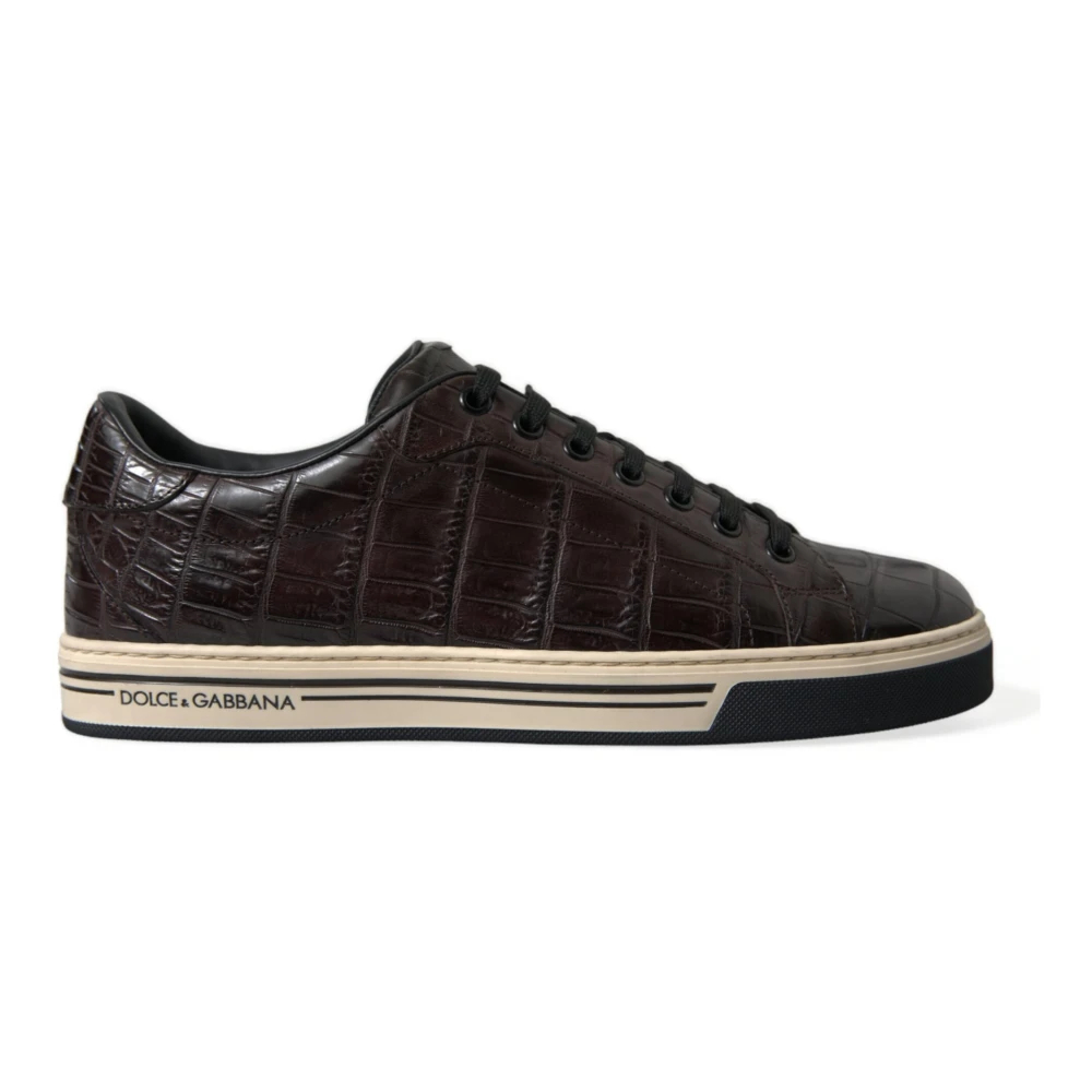 Dolce & Gabbana Herren Braun - Low-Top Sneakers - Shoes - 39 Eu
