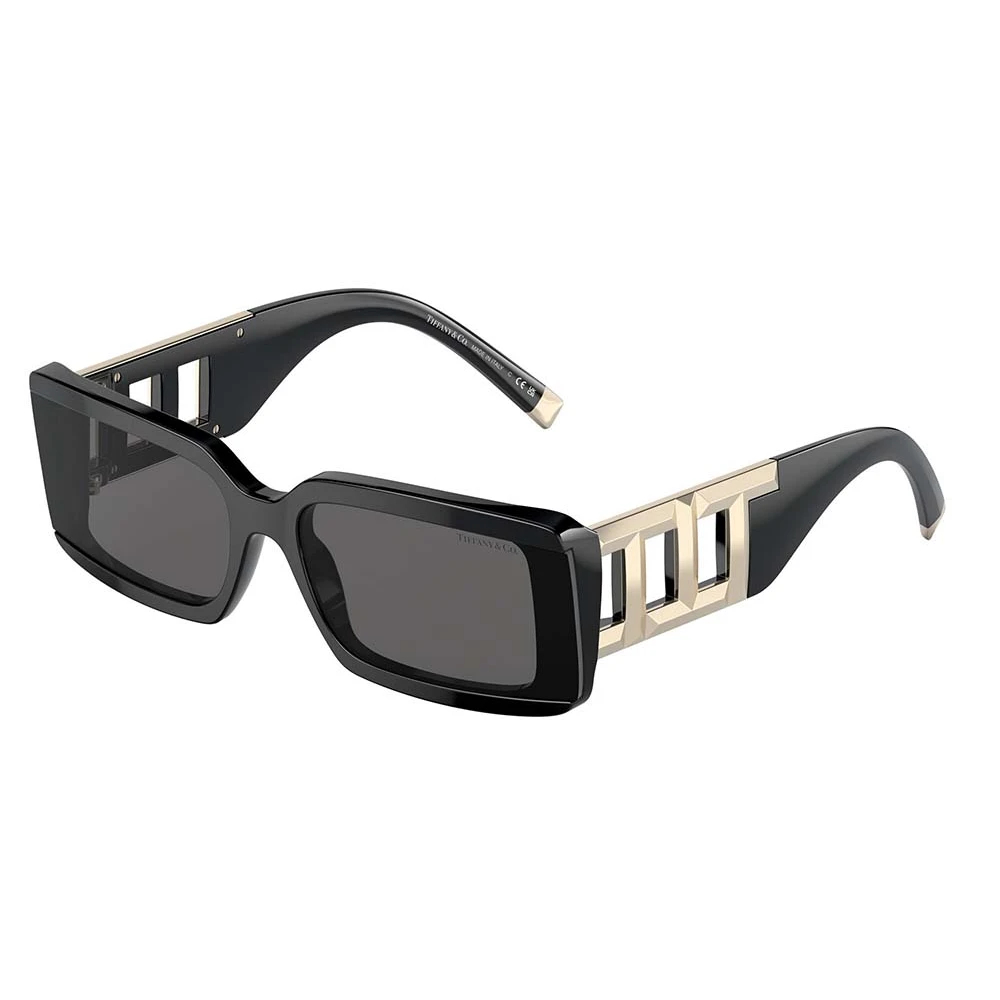 Tiffany Women's Black Sunglasses Medium