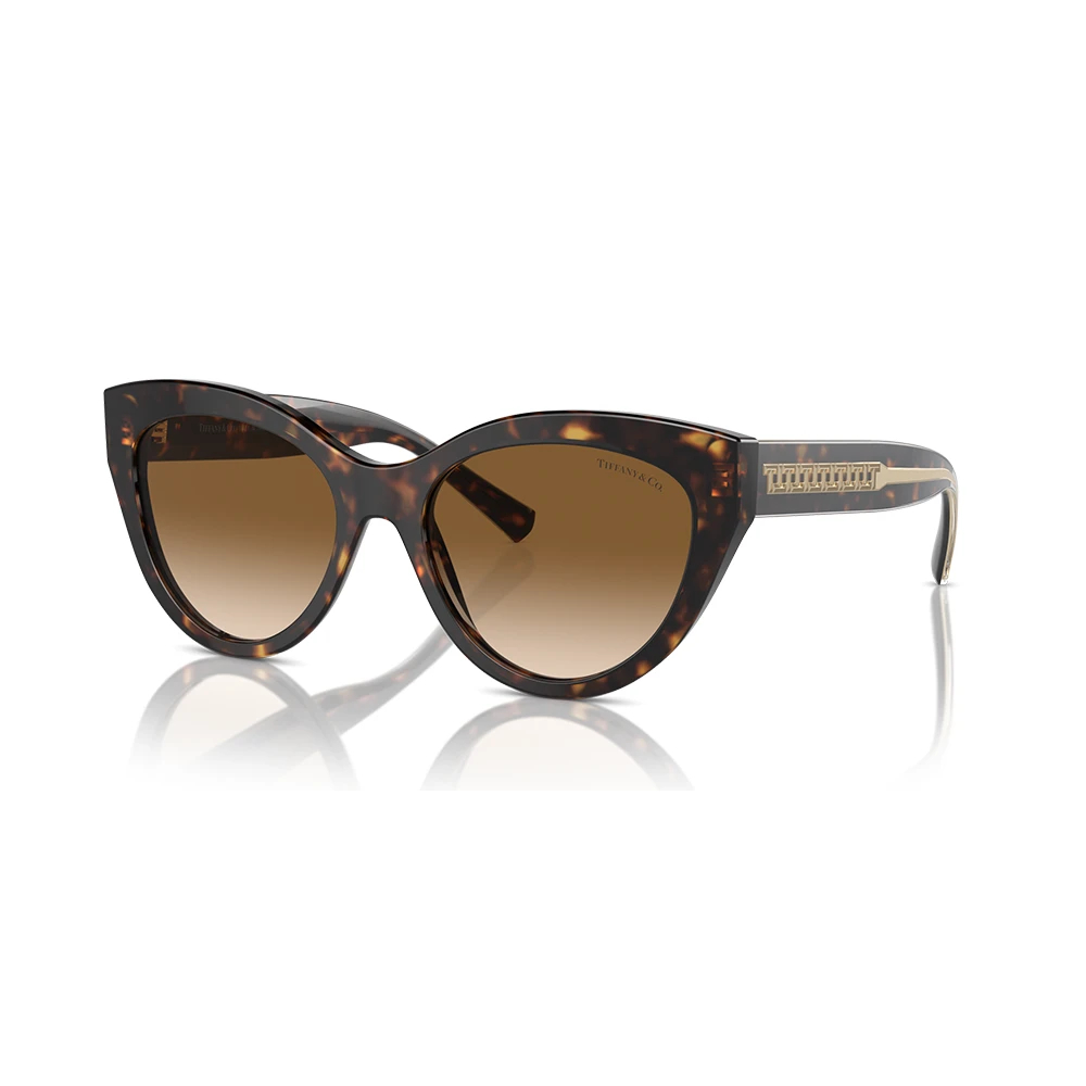 Tiffany Women's Brown Sunglasses Medium