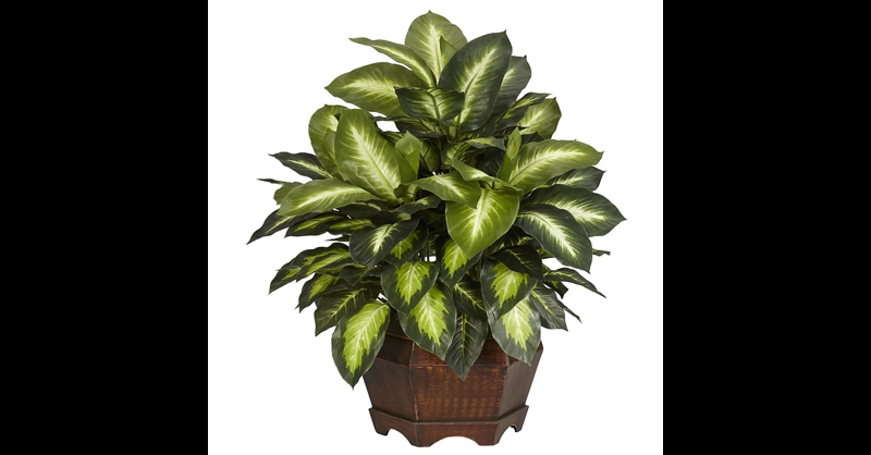 Nearly Natural Golden Dieffenbachia Plant in Pot